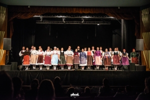 „NÍVÓ DÍJAS KIEMELTEN MINŐSÜLT EGYÜTTES" a Barsis néptáncosok